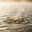 우리해수탕 이미지