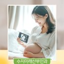수지광교건강생활