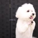 사하구 장평로 이미지