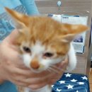 인월동물병원 이미지