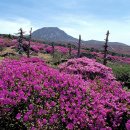 봄철 산행 요령, 체온관리, 옷은 어떻게 입어야 하나 이미지