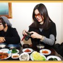 고스라니 Daum카페
