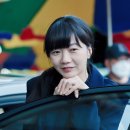 시목 이미지
