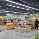 와스타디움 이미지