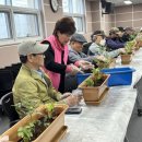 도화2,3동 이미지