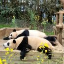 아가짱세탁소 | 2월과 3월 그 사이 .. 홈프로텍터의 삶