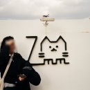 현대오토플러스 | 캐논 오토보이2 필카 | 코닥 컬러플러스 촬영 기록, 여기현상소 스캔 (26.01~03)