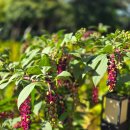 동남로41번길 | 김해 파우제앤숨 카페 후기 식물원 분위기 가득한 감성 카페 추천