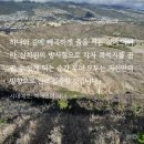 더블유와이컨설팅 이미지