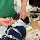 이리온동물병원 아브뉴프랑 판교점 | 일상기록 5번째-의사파업 실체현황, 행궁동 데이트, 판교현대백화점 맛집 &amp; 현대미술 전시회