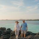 백사카서비스 | 제주도 우도 일일 패키지여행 효도 뚜벅이 버스투어 택시관광 전기차 스쿠터 자전거 투어패스