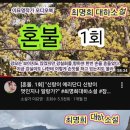 혼불문학 | <혼불>후기