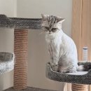 지개동산 이미지