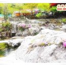 덕유산계곡펜션 이미지