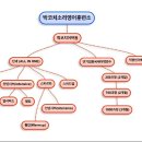 박코치소리영어훈련소주