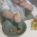 하마약밥