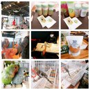 리프패럿장평점