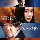 영화/ 이름없는 새 (2018) 후기 (결말포함)