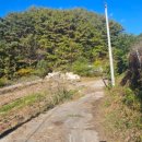 백두농장 이미지