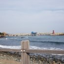 해동용궁사 이미지