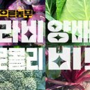 게으른농부 이미지