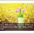 생명나무