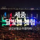 세종시 이응다리 달빛배/ 주차와 비용/할인쿠폰 사용 후기