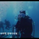 바다앤 문학다이빙 네이버블로그