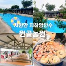 진거리농원 | 천안 근교 25분거리 수영장 아산 원골농원, 취사 가능한 물놀이장, 비오는날 다녀온 후기