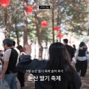 딸기짐 | 2026 논산 딸기 축제 (체험, 먹거리 후기)