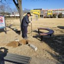 신등초등학교 이미지