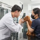 화도동물병원 이미지