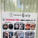 숲칼프보라매 이미지