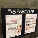 스파에코 옥수 | 옥수동스파 힐링은 여기지 스파에코 옥수점 후기