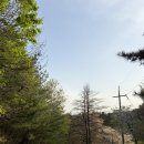 (포천) 유식물원 캠핑장 셀토스 차박