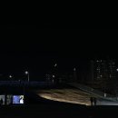 독산종로약국 | [블챌] 주간일기 챌린지_ 11월 4주차, 반차_종로3가 종로찌개마을 / 딸기케이크 / 영화_올빼미...