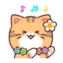 엔멀티댄스 이미지