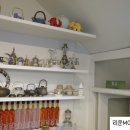 들에핀 매화 이미지