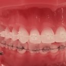 강남하나로치과의원 이미지