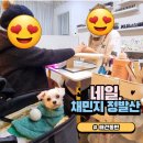 네일;채민지