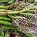 금월농장 이미지