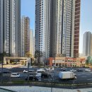 대성동물병원 이미지