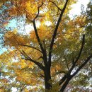 광덕산2로 이미지