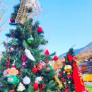 앞산 맛둘레길 경관 이미지