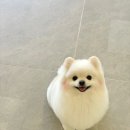 멍풀하우스 이미지