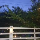 쉼이즐거운여행