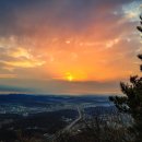 수원시 팔달구 효원로291번길 이미지