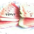 파마하는날 이미지