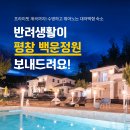 백운정원애견동반펜션 이미지