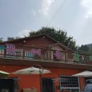 꽃여울강변 이미지